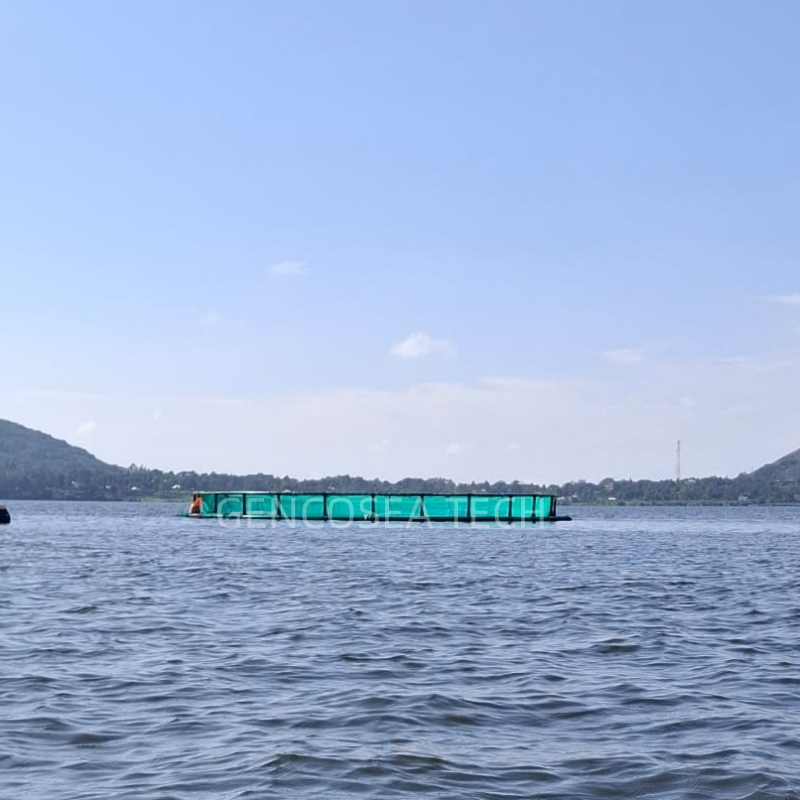 клетка для рыбы 17