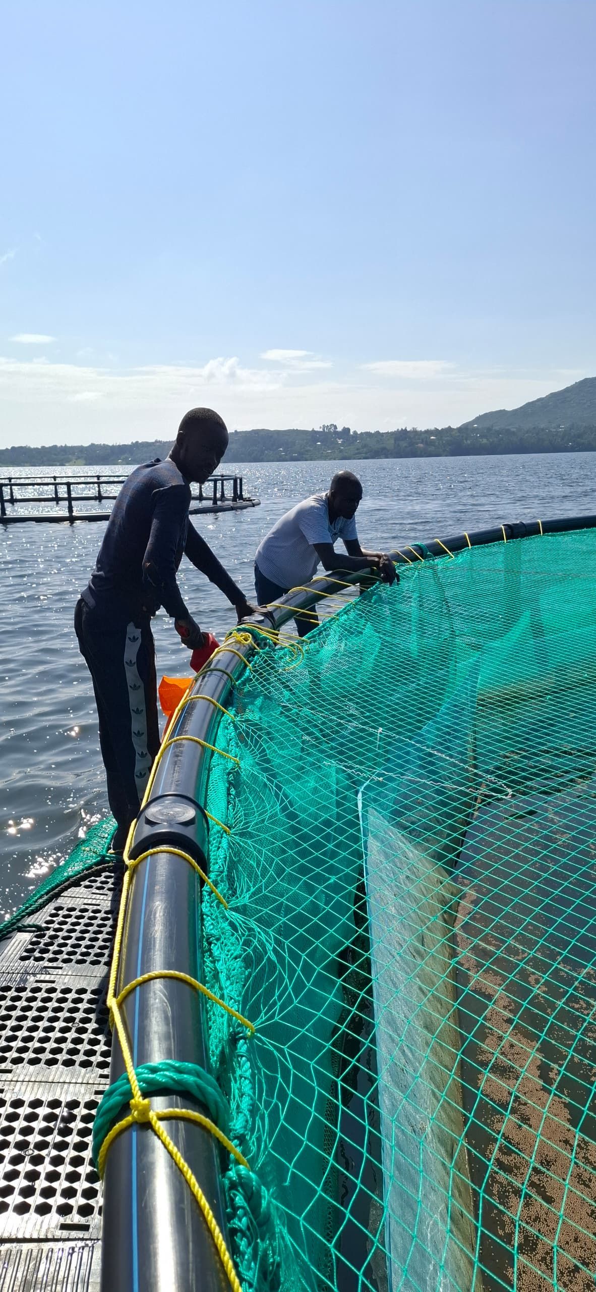 Изображение WhatsApp 25.11.2024, 18.44.57