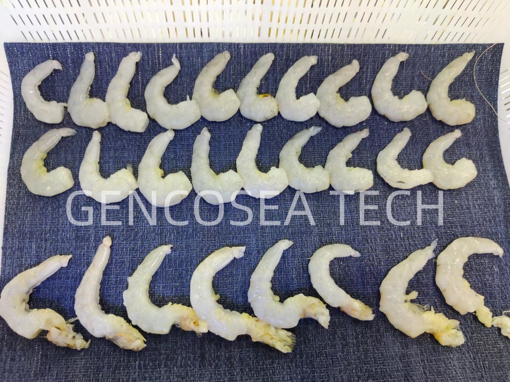 очищенные креветки 8г Gencosea